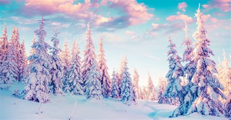 Winter Solstice Rituals Spiritual Rebirth December 2016