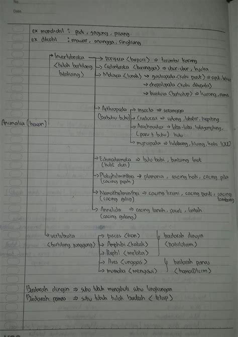 21+ Ciri Ciri Hewan Invertebrata Brainly