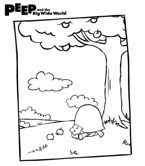 Posted on february 21, 2019 by portalebambini. Acorn Coloring Pages For Kids - Coloring Home