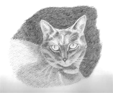 Drawn Dark Cat Emae418 Flickr