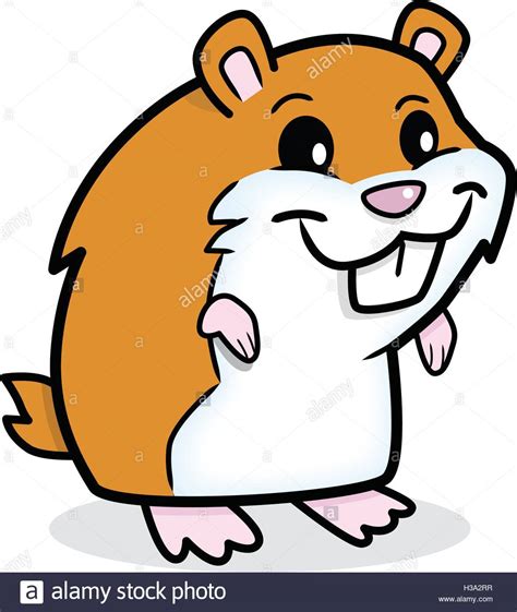 See more ideas about hamster, small pets, hamster cages. Dwarf Hamster Drawing | Free download on ClipArtMag