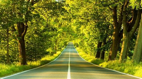 30 download wallpaper pemandangan full hd lihatlah pemandangan alam yang hijau ini sangat indah bukan download g di 2020 pemandangan pemandangan khayalan lanskap. Pemandangan Jalan dan Pohon Hijau (Dengan gambar ...