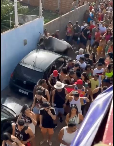 Touro Invade Bloco De Carnaval E Causa P Nico Em Pend Ncias