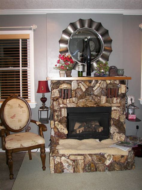 My Auntie Carol built this fireplace with petrified wood ...