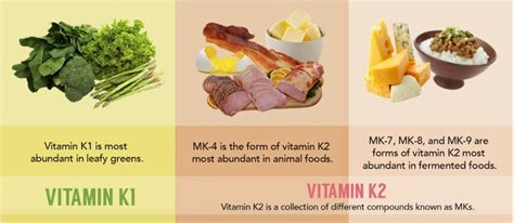 Vitamin K2 Everything You Need To Know Md Keto Home And Garden Malaysia
