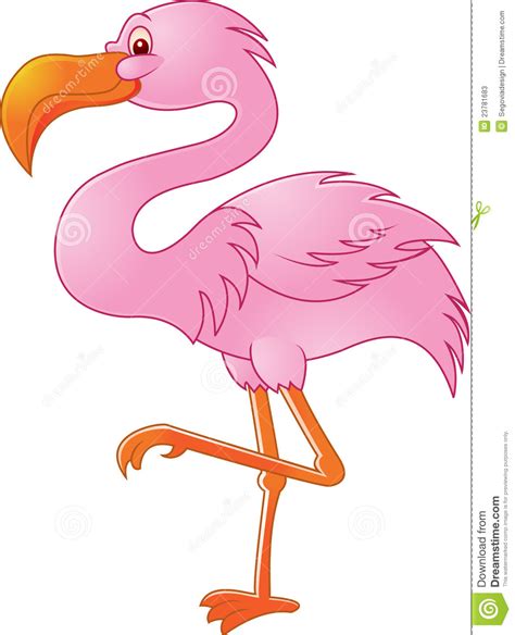 Funny Flamingo Bird Stock Photos Image 23781683
