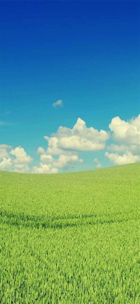 Cloud Sky Green Wallpapersc Iphone Xs Max