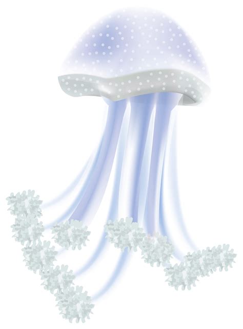 Jellyfish Clipart Colourful Jellyfish Colourful Transparent Free For