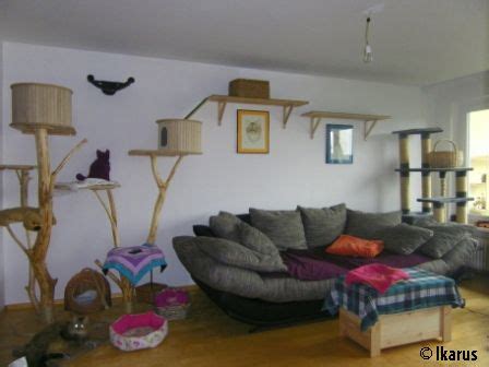 Das katzenklo mache ich jeden tag sauber. Einrichtungsideen und Anregungen für die Katzenwohnung ...
