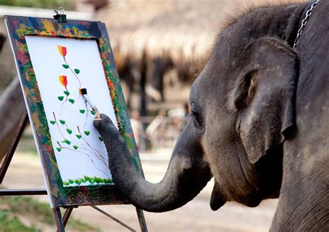 7 Facts about Elephants in Thailand to Know before an Elephant Tour