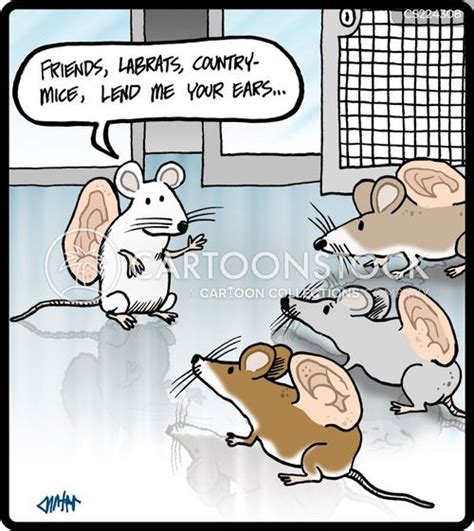 Lab Mice Cartoons And Comics Funny Pictures From Cartoonstock
