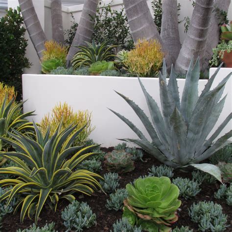 Create A Drought Friendly Landscape Originally Featured On A