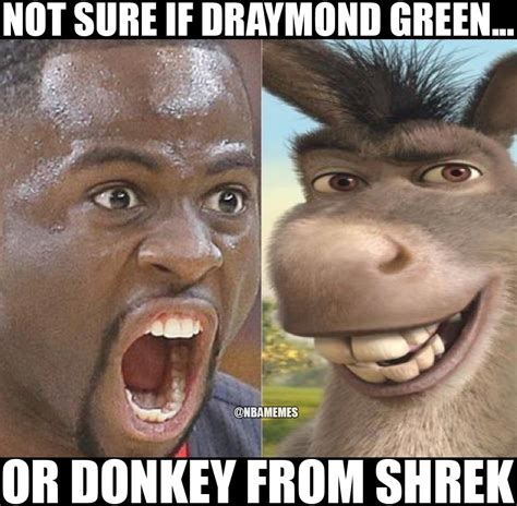 Donkey Staring Meme Shrek