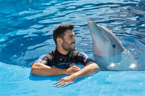Aprovecha El Clima Mediterráneo Para Un Encuentro Con Delfines