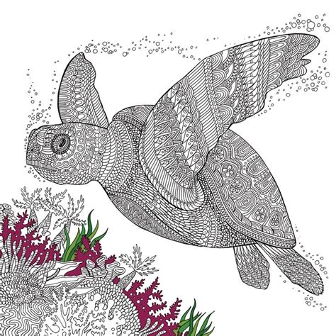 Supercoloring.com ist ein riesenspaß für alle altersstufen, für jungs und mädchen, kinder und erwachsene, teenager und kleinkinder, vorschüler und ältere schulkinder. Eine Schildkröte zum Ausmalen | Ausmalbilder, Mandala ...