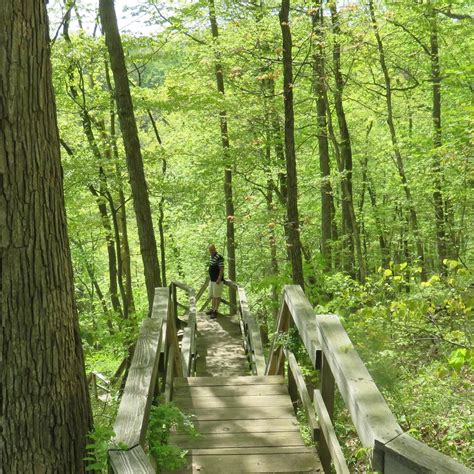 Clifty Falls State Park Madison All You Need To Know Before You Go