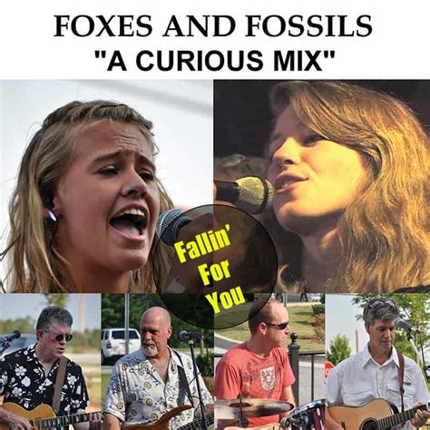 Fallin For You Track 1 From A Curious Mix Album Foxes And Fossils®