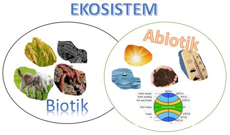 Biologi Smaba Ekosistem Dan Komponen Penyusunnya