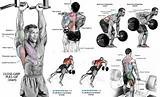 Upper Body Muscle Exercises Pictures