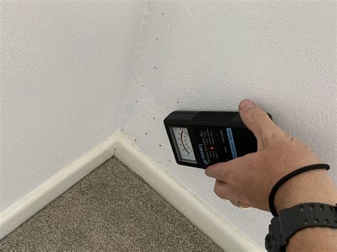 How Do You Check If Termites Are In Your Walls And Home