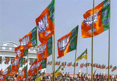 The national democratic institute maintains a calendar of elections around the world. Gujarat Municipal Election Results 2021 LIVE: BJP sweeps ...
