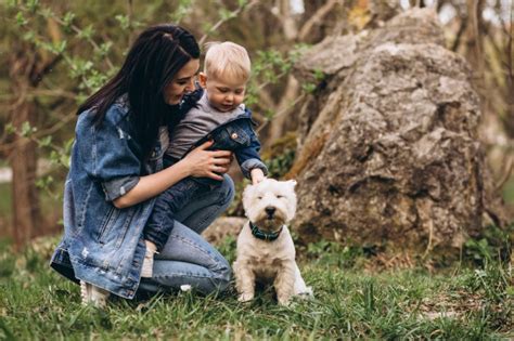 Free Photo Mother With Son And Dog