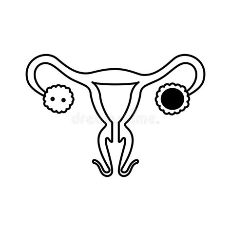 Isolated Female Reproductive System Icon Vector Design Stock Vector