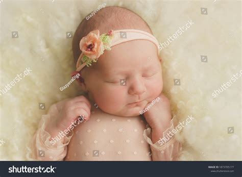 Newborn Baby Girl Sleeping Sweetly Stock Photo 1873705177 Shutterstock