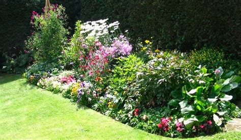 We did not find results for: perennial garden ideas - Bing Images | Perennial garden ...