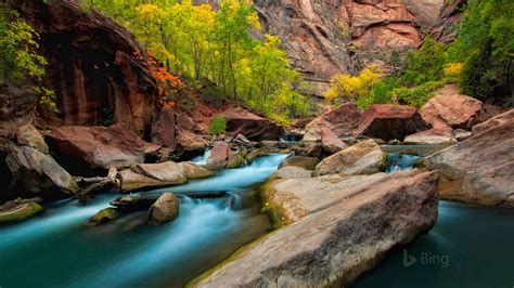 Virgin River Zion National Park Utah 2018 Bing Wallpaper