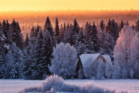 Красивые Фото Зимнего Леса Telegraph