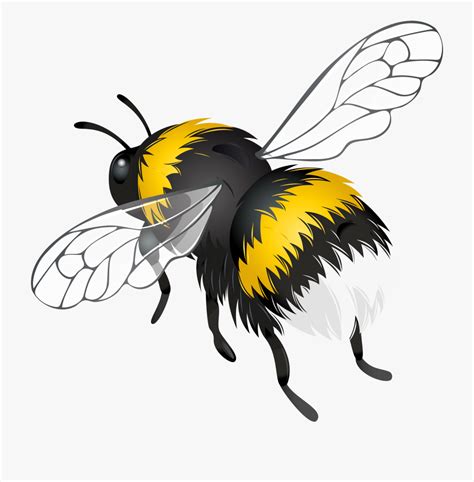 Transparent background minecraft bee png. Bee Clipart Transparent Background - Transparent Bee Png ...