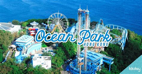 Cool Down This Summer At Ocean Park Hong Kong Kkday Blog