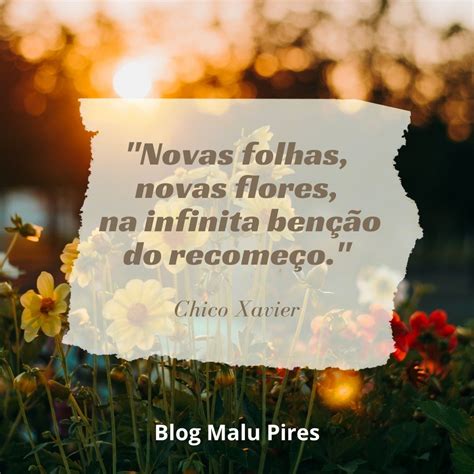 Mensagem Espirita De Hoje