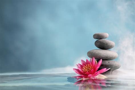 1 ranking for two years. 'Spa Still Life with Water Lily and Zen Stone in a ...