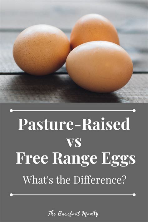 Pasture Raised Vs Free Range Eggs Whats The Difference