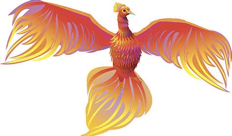 Phoenix Mythical Bird Clip Art Vector Images And Illustrations Istock