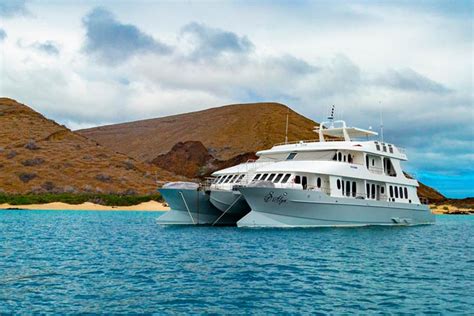 The Best Galapagos Luxury Cruise 5 Days Itinerary