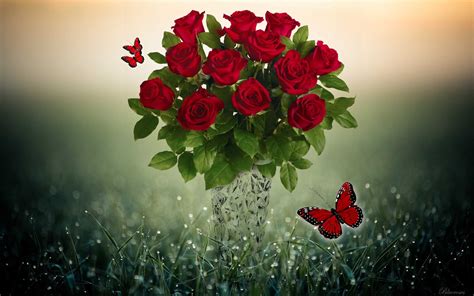 Red Roses And Butterflies By Blueroses