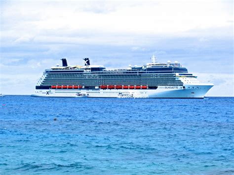 Celebrity Silhouette Pictures