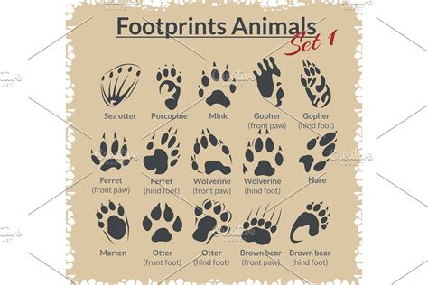 Footprints Animals Vector Set Custom Designed Illustrations