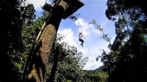 Selesa hillhomes bukit tinggi, bukit tinggi, pahang. Flying Fox @ Adventure Park By Colmar Tropicale, Bukit ...