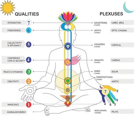 Also, did you know there. The 7 Major Chakras & Their Meanings - Crystal Dreams World