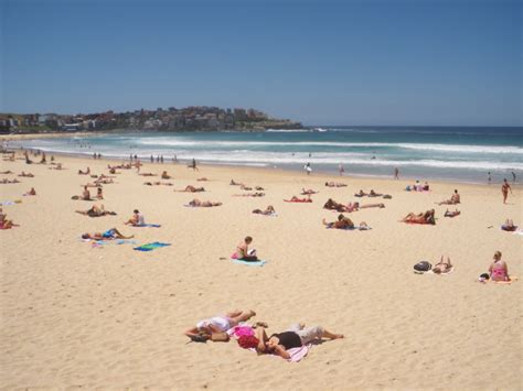 my favourite 5 beaches in sydney australia don t stop living
