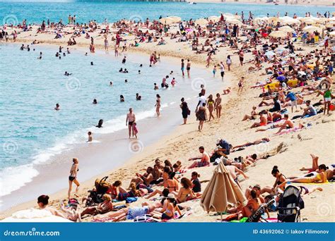 People Sunbathing On Sunny Summer Beach Editorial Photography Image Of Barceloneta Hangout