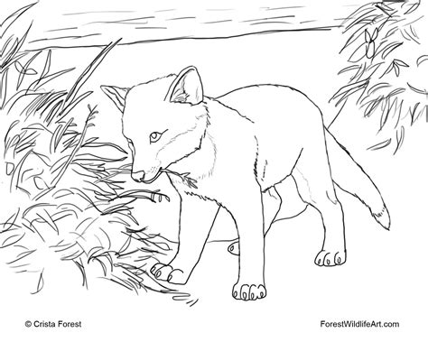 Animals # fox coloring pages. Crista Forest's Animals & Art: Coloring Book Page - Red ...