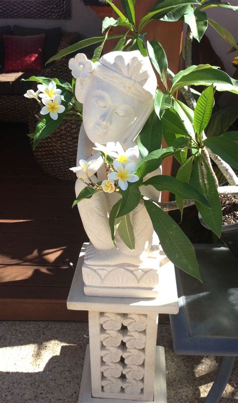 Our garden décor collection includes a long list of products that would create in immediate contribution to your garden or you will find garden statuary and columns and pedestals on which to display them. Frangipani flowers | Bali garden, Balinese garden, Bali decor