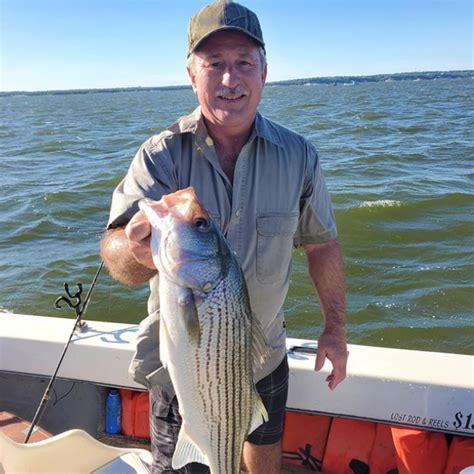 Lake Texoma Fishing Guides Steve Buckley Striper Guide Service