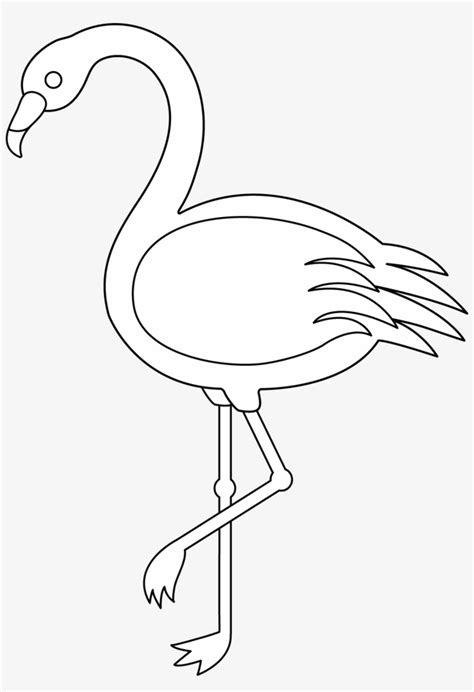 Download High Quality Flamingo Clipart Outline Transparent