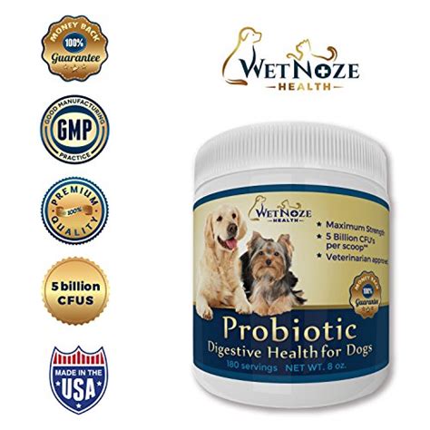 Probiotics For Dogs Relief From Diarrhea Constipation Allergies Bad